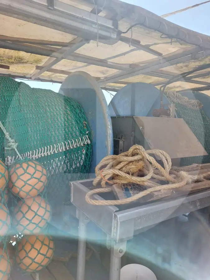 Navio transportador de peixes vivos à venda