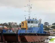 Barcos de trabalho à venda