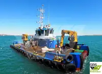 Barcos de trabalho à venda