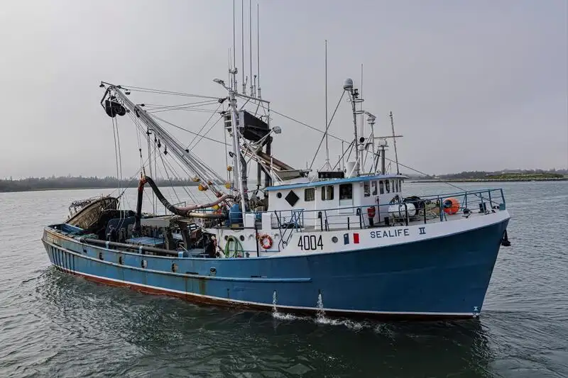 Navio de pesca de cerco à venda