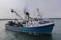 Navio de pesca de cerco à venda