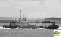 Barcos de trabalho à venda