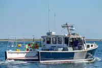 Purse seiner à venda