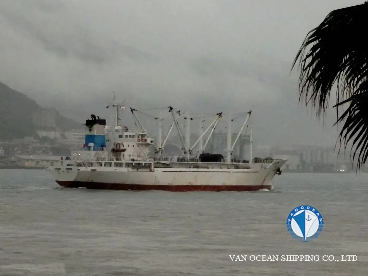 Navio frigorífico à venda