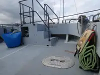 Catamarã à venda
