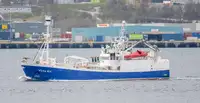 Purse seiner à venda