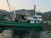 Navio de pesca de cerco à venda
