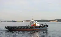 Barcos de trabalho à venda