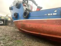 Barcos de trabalho à venda