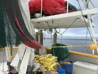 Navio de pesca de arrasto à venda