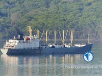 Navio frigorífico à venda