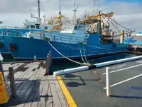 Trawler à venda