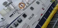 Barcos de trabalho à venda