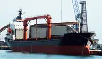 Graneleiro à venda