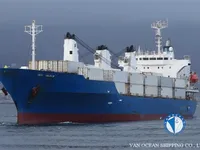 Navio frigorífico à venda