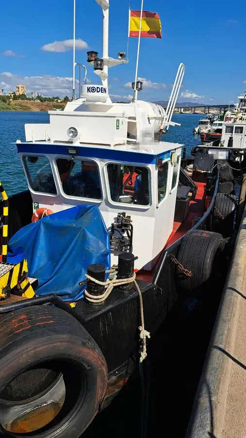 Barcos de trabalho à venda