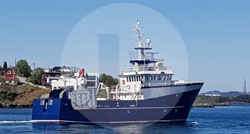 Navio de pesca de arrasto de rede de fundo à venda
