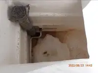 Navio de pesca de cerco à venda