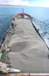 Navio porta-contêineres à venda