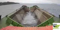 Barcaça à venda