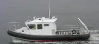 Barcos de trabalho à venda