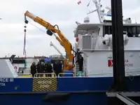 Catamarã à venda