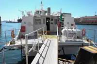 Hidrofólio à venda