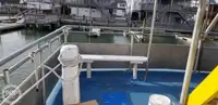Catamarã à venda