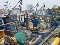 Navio transportador de peixes vivos à venda
