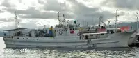 Longliner à venda