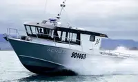 Navio de transporte de passageiros (Ferry) à venda