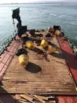 Dragador à venda