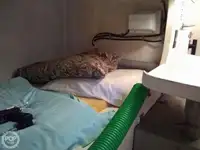 Cutter à venda