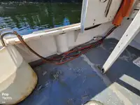 Navio de processamento de peixe à venda