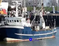 Navio de pesca de arrasto de rede de fundo à venda