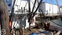 Navio de pesca de arrasto à venda