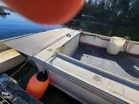 Navio de processamento de peixe à venda