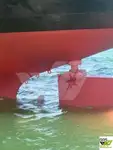 Navio graneleiro à venda