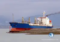 Navio frigorífico à venda