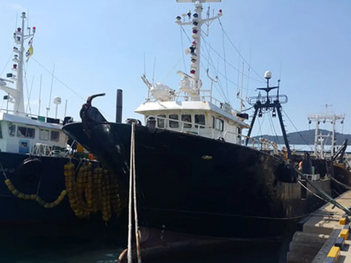 Navio de pesca de arrasto à venda