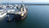 Barcos de trabalho à venda