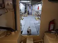 General Cargo/Multi-purpose à venda