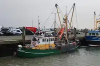 Navio de pesca de arrasto à venda