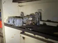 Dragador à venda