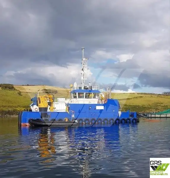 Barcos de trabalho à venda