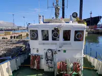 Rebocador à venda
