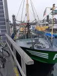Navio de pesca de arrasto à venda