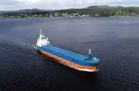 Navio graneleiro à venda