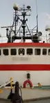Navio frigorífico à venda