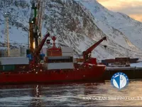 Navio frigorífico à venda
